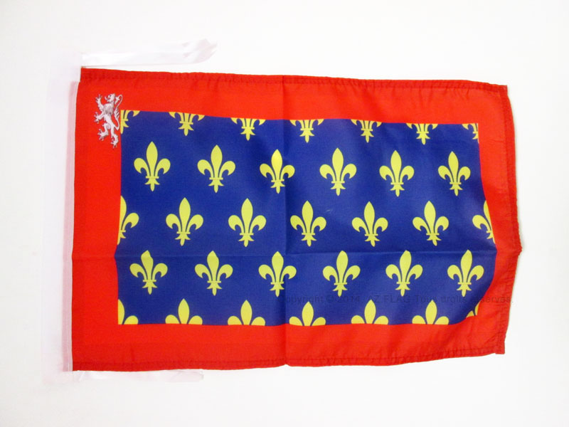 BANDIERA CONTEA DEL MAINE 45x30cm - BANDIERINA COMTÉ DU MAINE REGNO DI FRANCIA 3