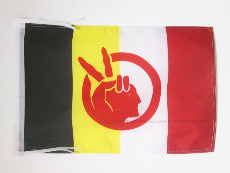 BANDIERA MOVIMENTO DEI NATIVI AMERICANI 45x30cm - BANDIERINA AMERICAN INDIAN MOV