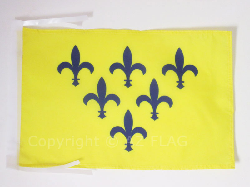 BANDIERA DUCATO DI PARMA E PIACENZA 1545-1731 45x30cm - BANDIERINA DI PARMA 30 x