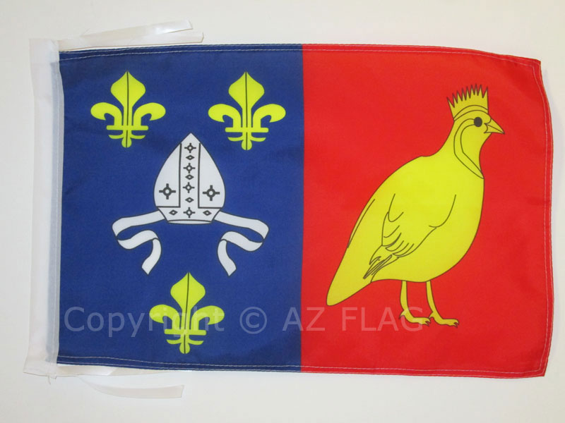 BANDIERA CHARENTE MARITTIMA 45x30cm - BANDIERINA DIPARTIMENTO DELLE CHARENTE MAR