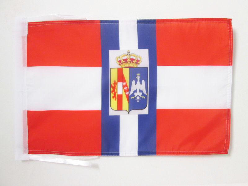 BANDIERA DUCATO DI MODENA E REGGIO DI GUERRA 45x30cm - BANDIERINA DI MODENA 30 x