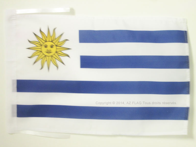 Piccola BANDIERINA UMANITARIA 10 x 15 cm AZ FLAG Bandiera da Tavolo Croce Rossa 15x10cm Punta Dorata