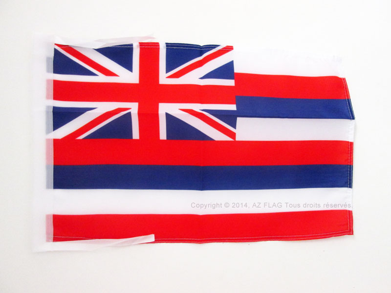 HAWAII FLAG 18'' x 12'' cords - US STATE OF HAWAII SMALL FLAGS 30 x 45cm - BANNE - Picture 1 of 2
