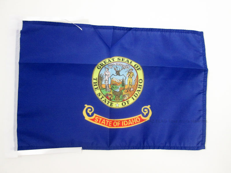 Gagliardetto Algeria Per Auto - 15x10cm, Con Ventosa, Bandierina Da Specchietto - AZ FLAG - Foto 10