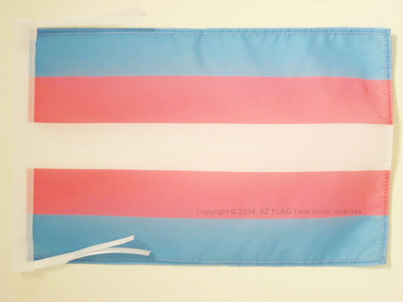 BANDIERA ARCOBALENO TRANSGENDER 45x30cm - BANDIERINA TRANGENDER – RAINBOW FLAG 3